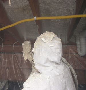 Bellevue WA crawl space insulation